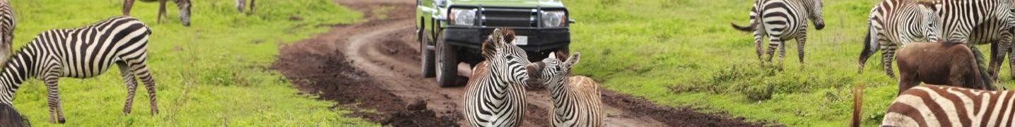 All Zara Tours (Zara Tanzania Adventures)