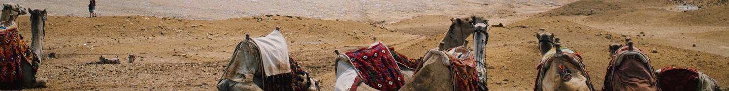 All Sun Pyramid Tours
