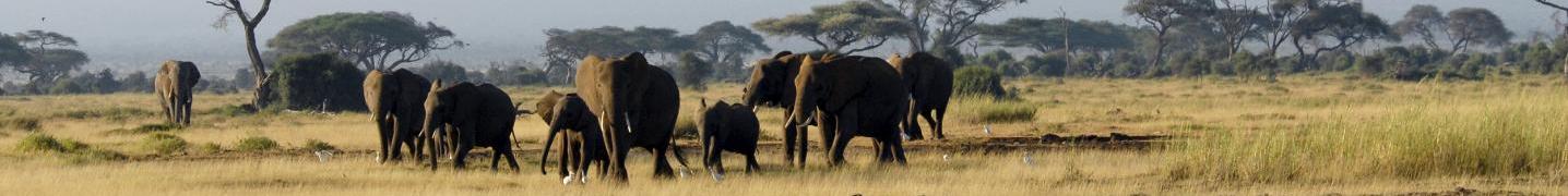 All All Time Safaris Ltd Tours