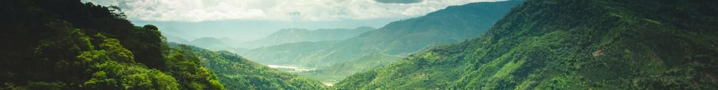 All PVTravels Tours