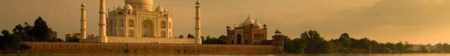 All Golden Bird Journey Tours