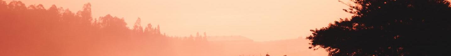 All Golden Rwanda Safaris Ltd Tours