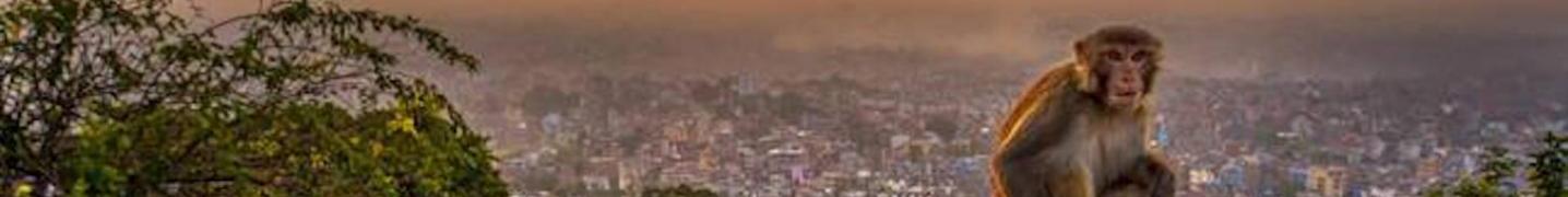 All Asian Heritage Treks & Expeditions Tours