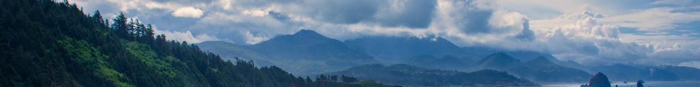 All Black Sheep Adventures Tours