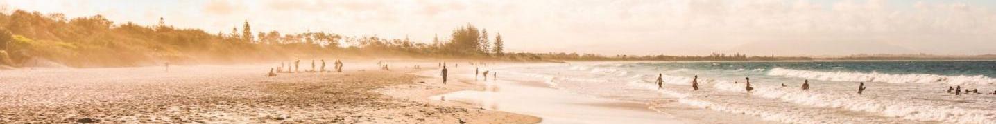 Stray Australia Deals and Discounts 2019/2020