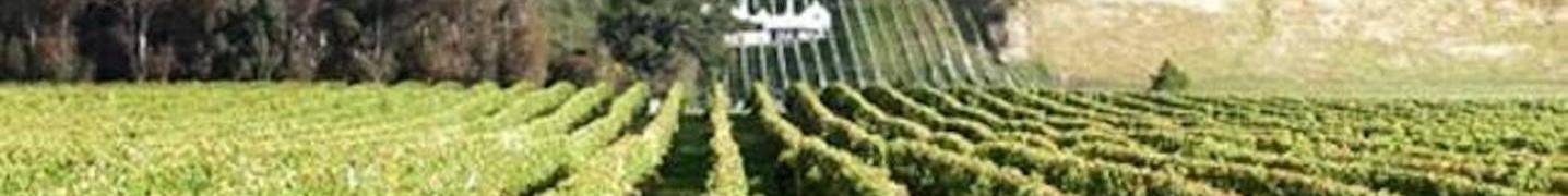 All Tour de Vines Tours