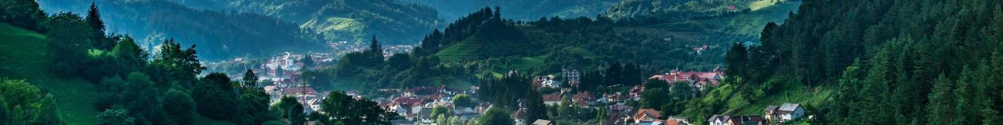 Transylvania Live Expert in Transylvania Deals and Discounts 2019/2020