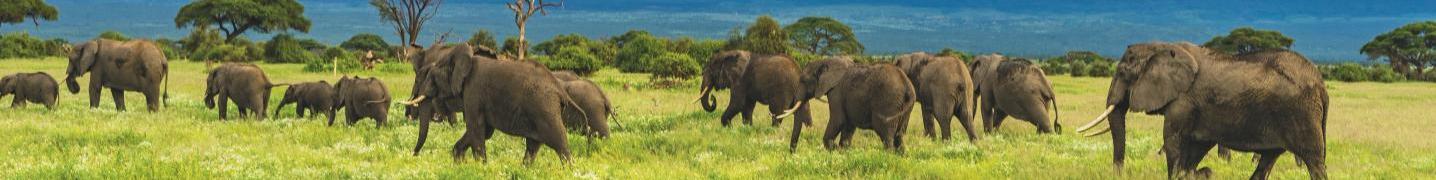 All Barafu Tours & Safaris