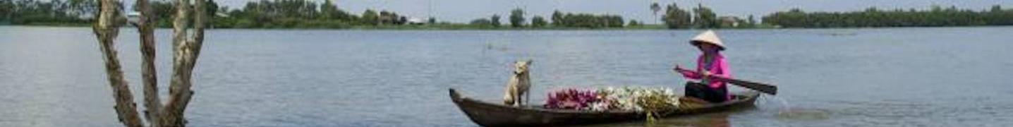 All Viet Ventures Tours