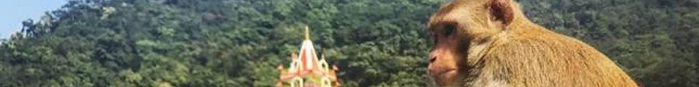 All Vedansha Yoga Tours
