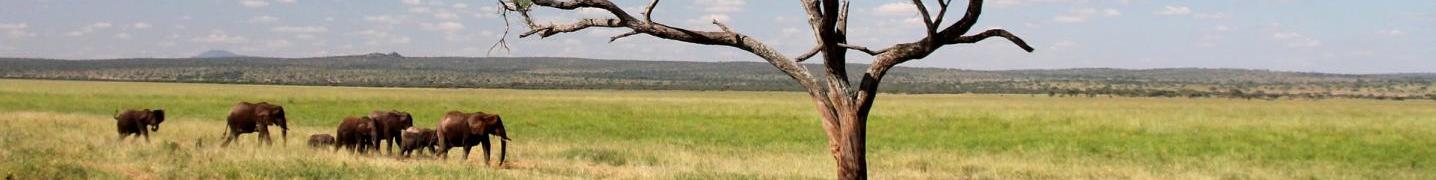 Kilimanjaro Economy Safari Deals and Discounts 2019/2020