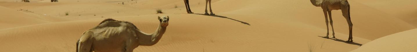 All Stylish Holidays Tours