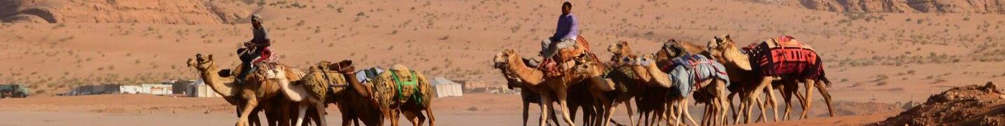 All Adviser Travel & Tourism Tours
