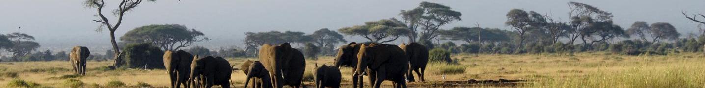 All CKC Tours & Travel