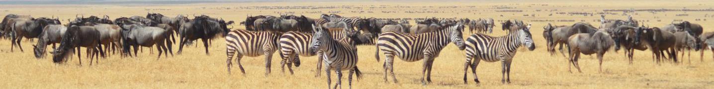 All Virunga Programs Tours