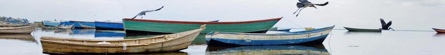 All Oree Safaris Tours