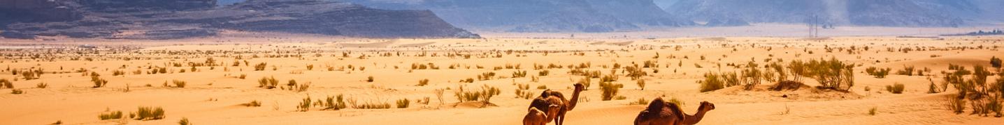 Wadi Rum Tours and Trips 2018/2019