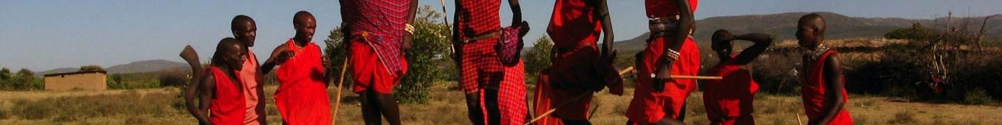 All Holiday Destination Safaris Tours