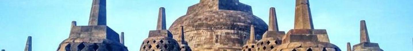 All Ayla Tour and Transport Tours