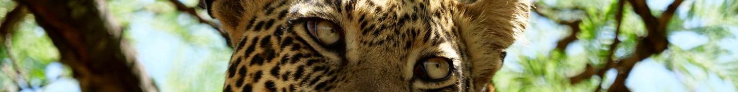 Seven Wonders Safaris Deals and Discounts 2019/2020