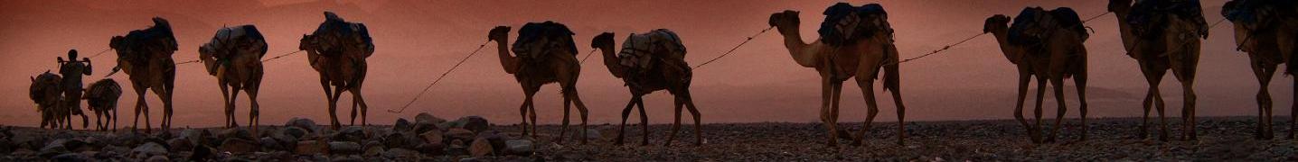 All Aman Ethiopia Tour & Travel Tours