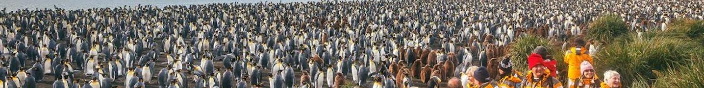 All Quark Expeditions Tours