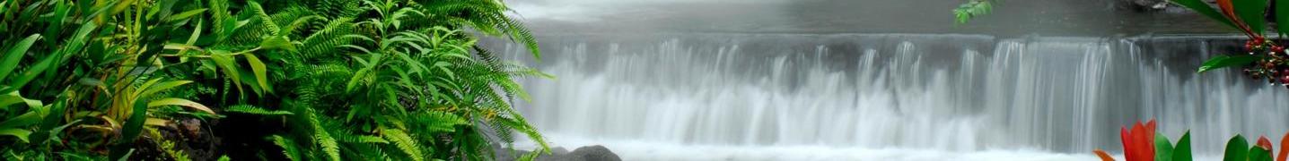 All Gray Line Costa Rica Tours