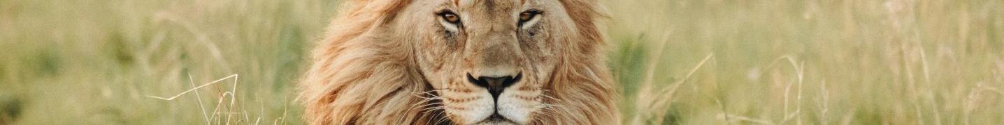 All Baisy Oryx Safaris Ltd Tours