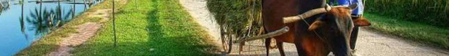 All Indochina Vibes Travel & Trading Company Limited Tours