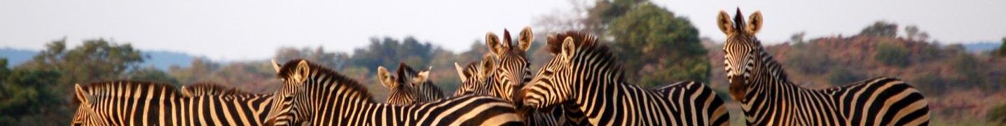 All African joined tours and safaris