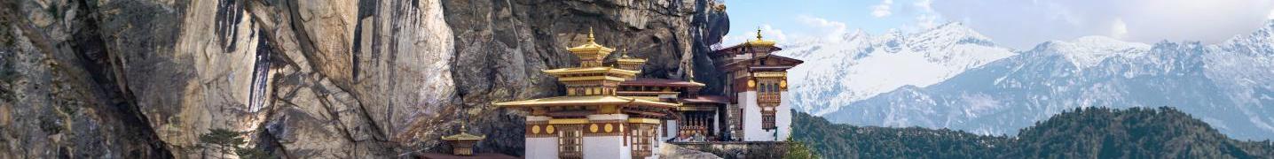 All Adventures Abroad Tours