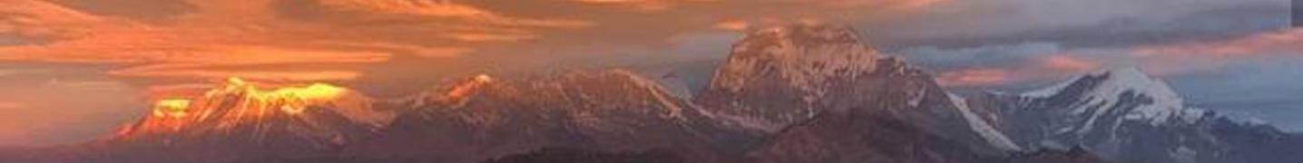 All Uma Holidays Travels And Tours Pvt. Ltd.