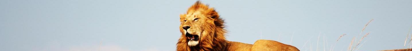 All African Sunrise Travel Tours