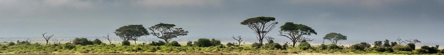 All Overland Travel Tours