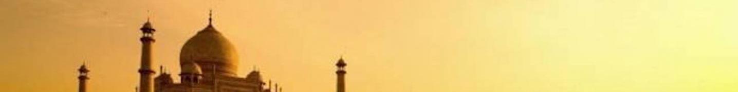 All Aliza Tours