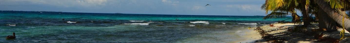 All Belize Bamba Experience Tours