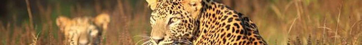 All Zenith Expeditions Tours