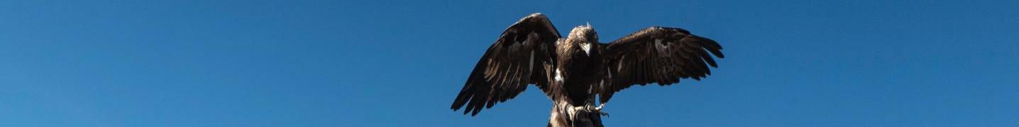 All Xanadu Travel Mongolia Tours