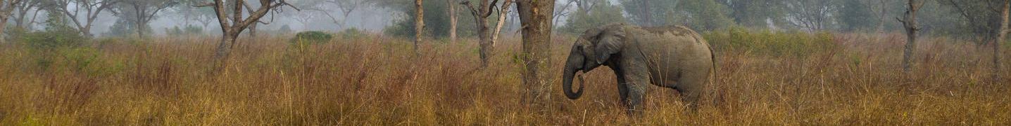 Benin Tours & Trips 2019/2020