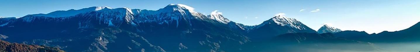 All Odyssey Traveller Tours