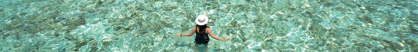 All South Ari Dive Tours