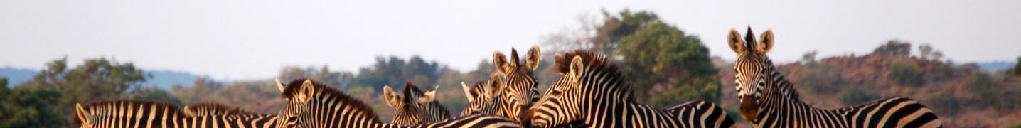 All Outdoor African Tour Safari Tours