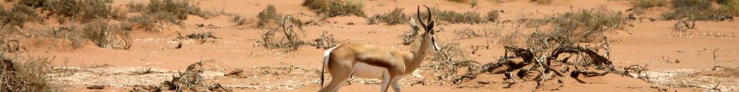 All NTTS Namibia Tours