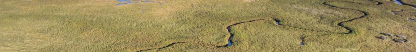 Botswana in June 2020 Tours & Trips