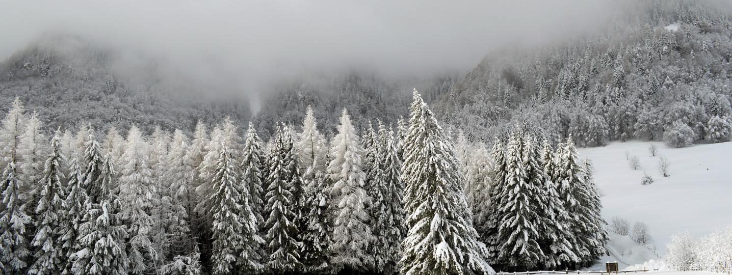 Christmas & New Year Tours/Trips 2018 in Europe