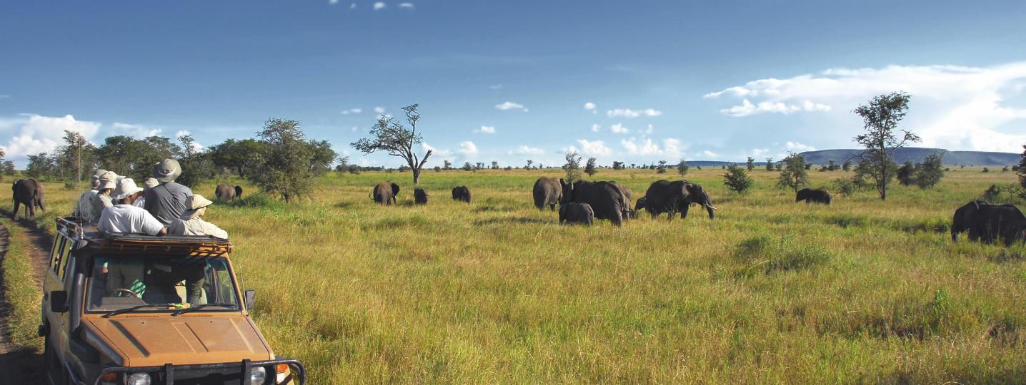 All Real Life Adventure Travel Tours