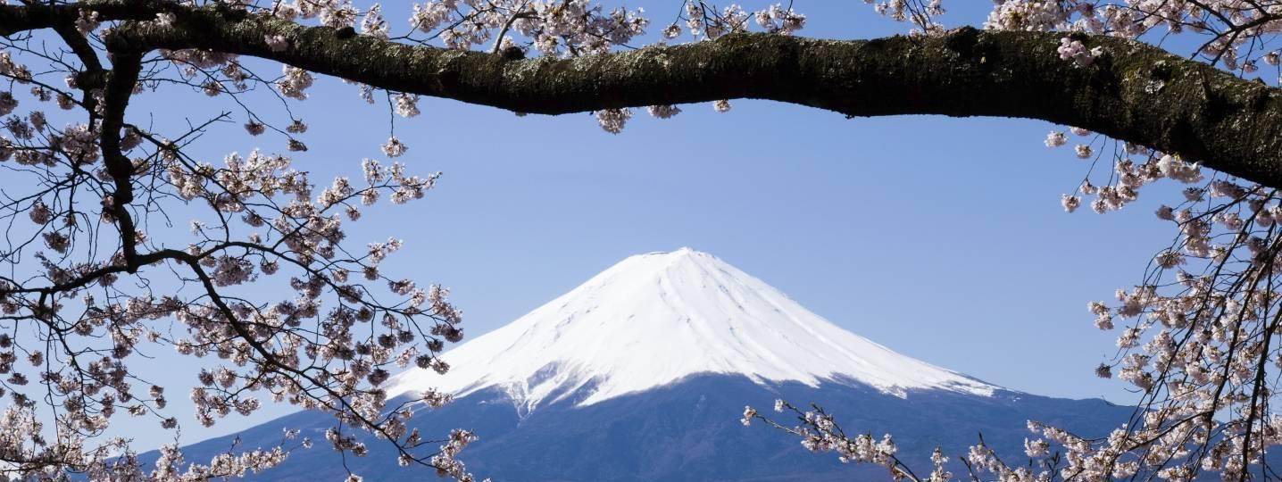 All Japan G Adventures Tours