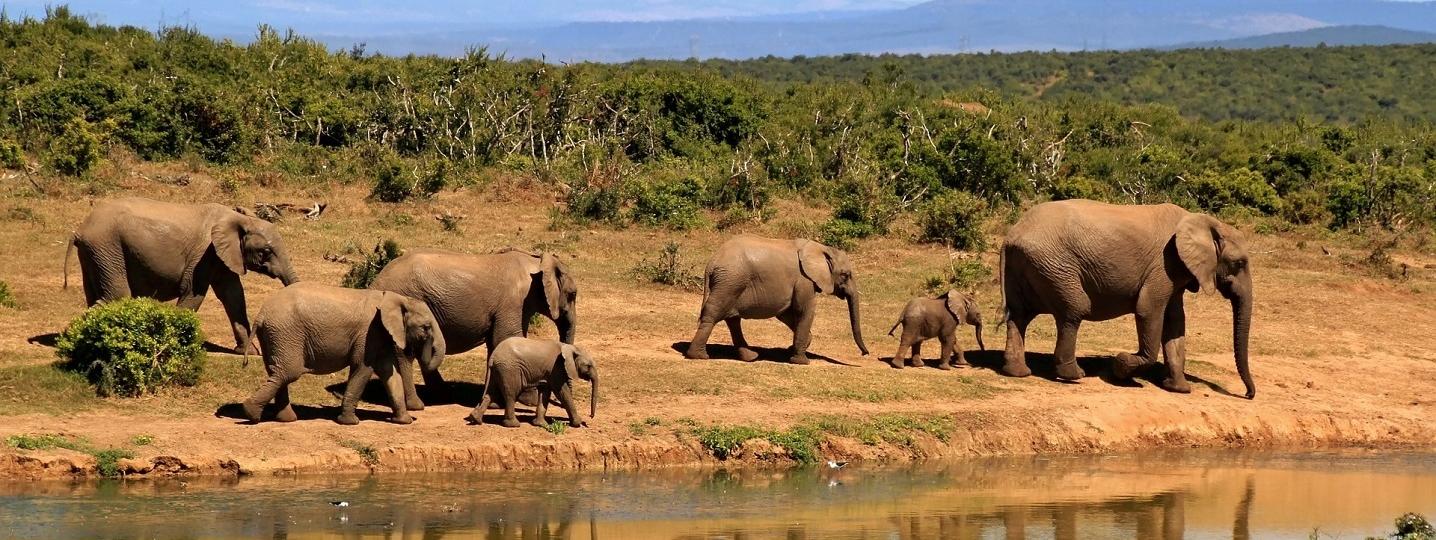 Overland truck Tours/Trips in Africa