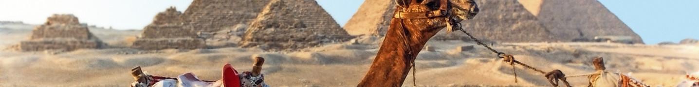 Egypt and Jordan in October 2018 Tours & Trips