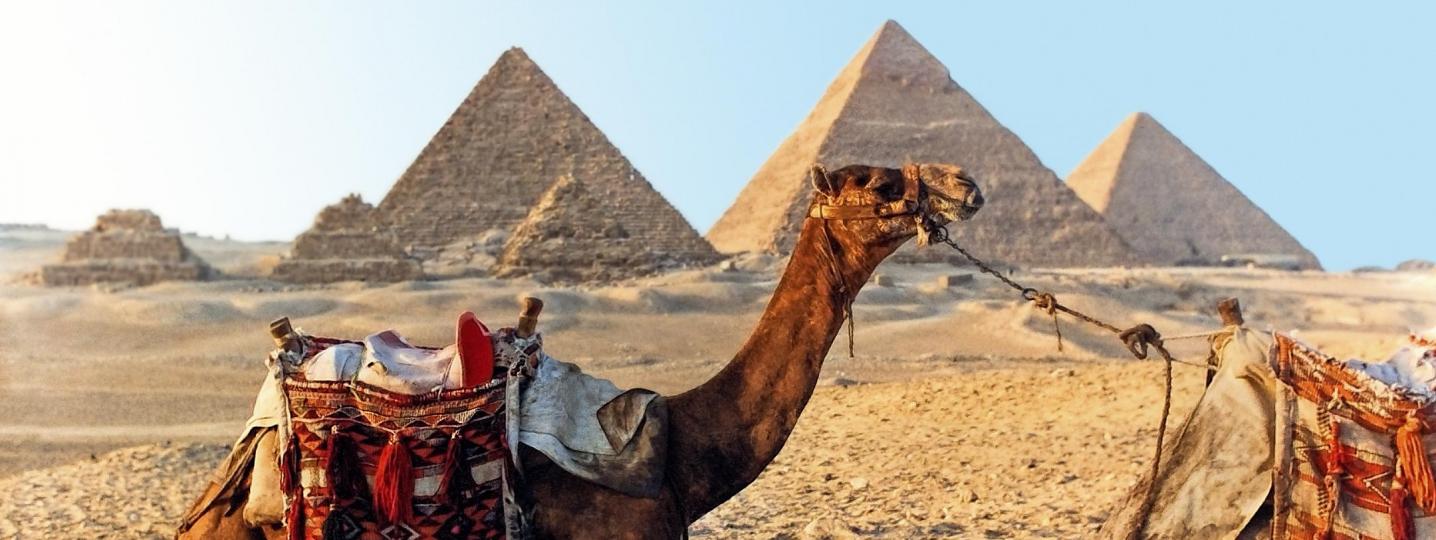 All Memphis Tours Egypt